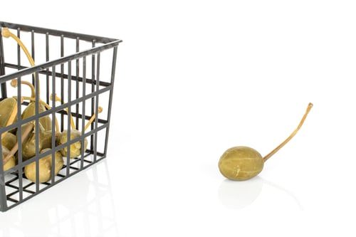 Preview: Lot Of Whole Pickled Green Caper In Black Plastic Basket Isolated On White Background