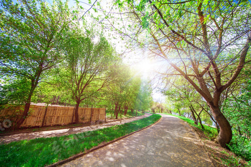 Preview: Beautiful Avenue In To The Park