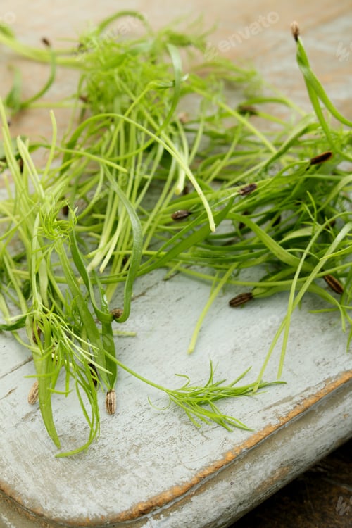 Preview: Micro Fenel Herb