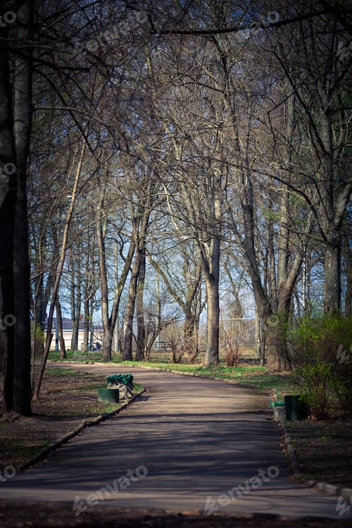 Preview: Beautiful Park