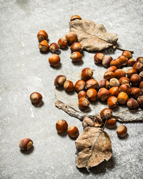 Preview: Hazelnut With Dry Leaves. On The Stone Table.