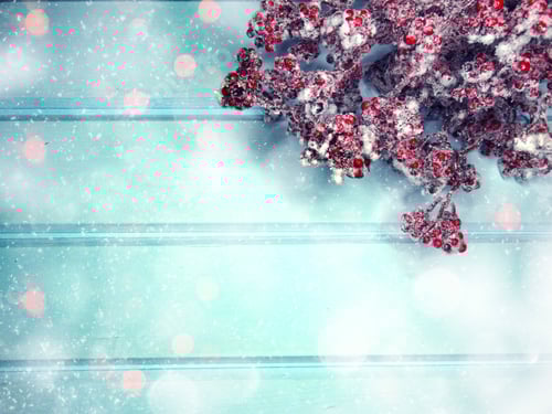 Preview: Winter Berries on Snowy Blue Wood Surface