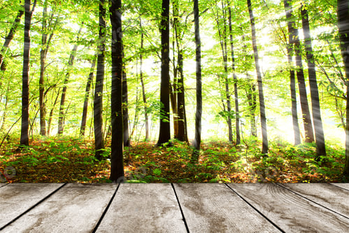 Preview: Wood Texture. Background Old Panels