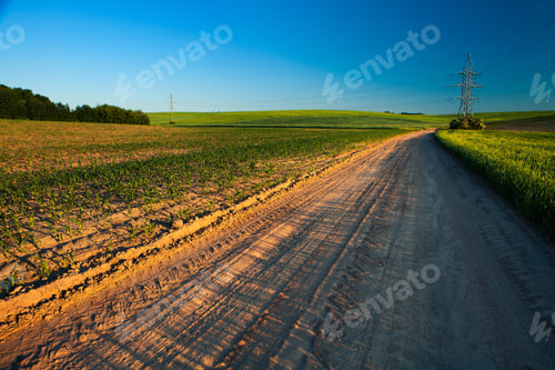 Preview: Green Field And Beautiful Sunset