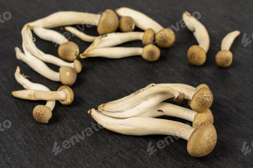 Preview: Lot Of Whole Fresh Brown Buna Shimeji Mushroom On Grey Stone