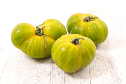 Preview: Green Tomato