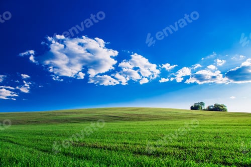 Preview: Green Field And Beautiful Sunset