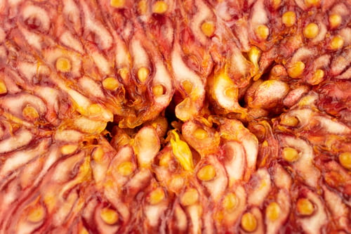 Preview: One Half Of Fresh Purple Fig In Close Up