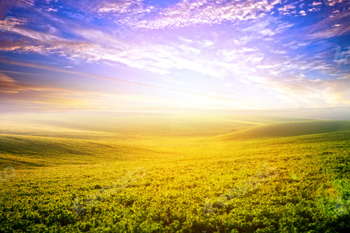 Preview: Green Field And Beautiful Sunset