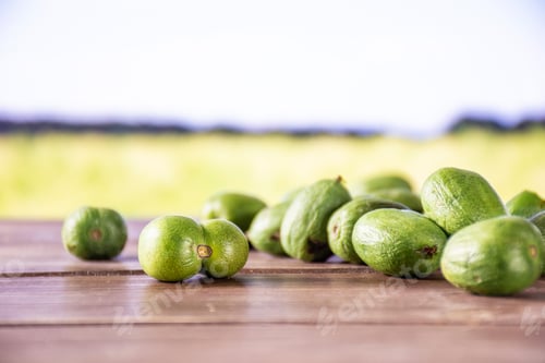 Preview: Lot Of Whole Fresh Green Mini Baby Kiwi Fruit With Green Wheat Field In Background