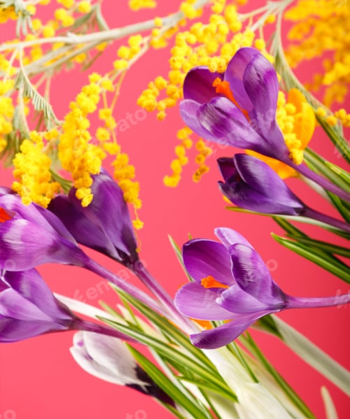 Preview: Rich Spring Flowers Background