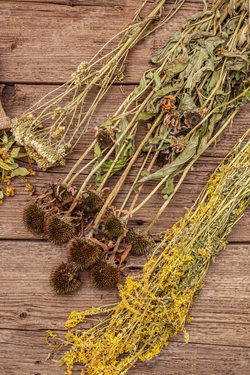 Preview: Herbal Harvest Collection And Bouquets Of Wild Herbs. Alternative Medicine. Natural Pharmacy