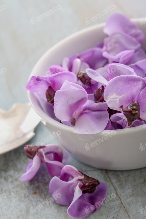 Delicate Purple Flowers in a White Bowl