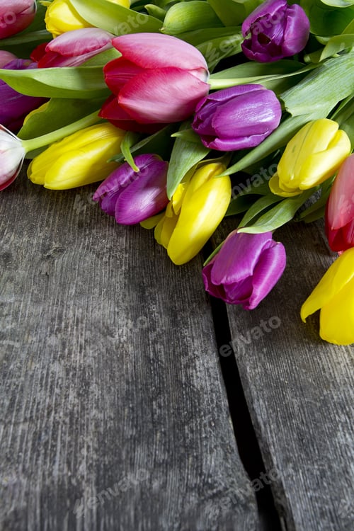 Preview: Colorful Tulips On Wooden Surface