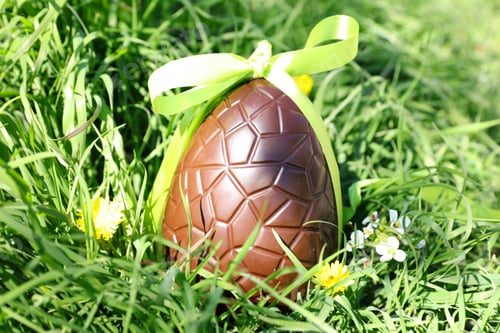Preview: Green Grass And Chocolate Egg- Easter