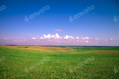 Preview: Green Grass Under Blue Sky