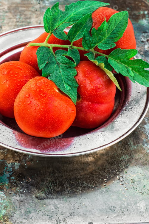 Preview: Harvest Of Ripe Tomatoes With Green Foliage On An Iron Plate