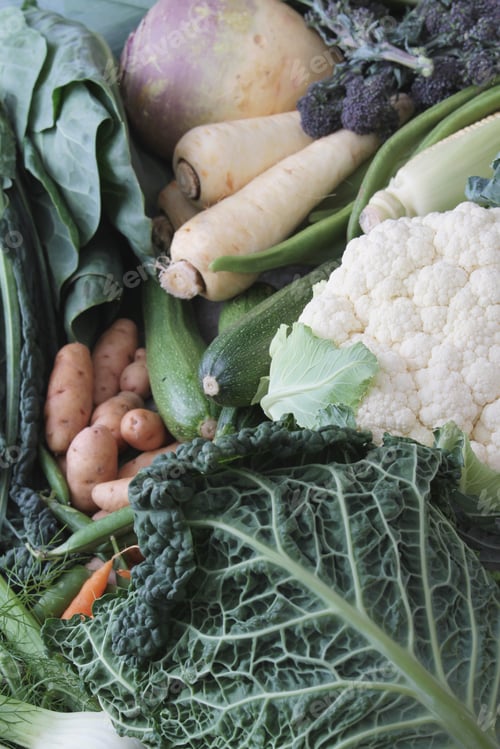 Preview: Vegetable Selection Background