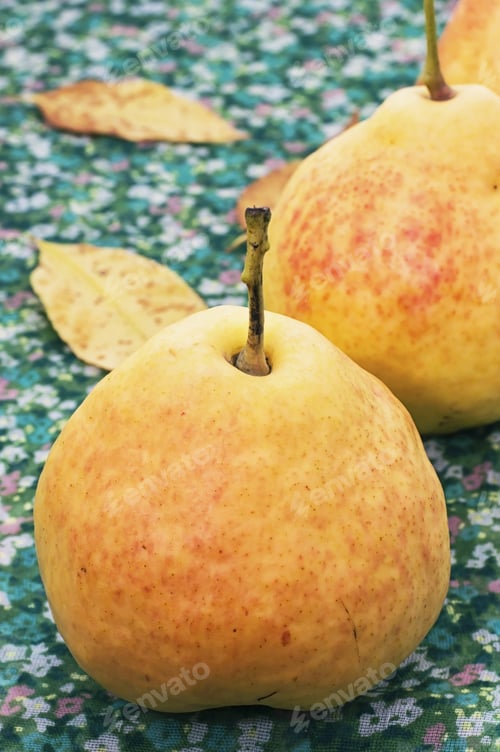 Preview: Delicious Pear From The Garden