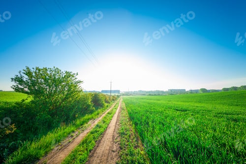 Preview: Green Field And Beautiful Sunset