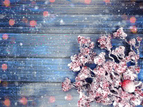 Preview: Festive Red Berries with Snow on Wood Planks