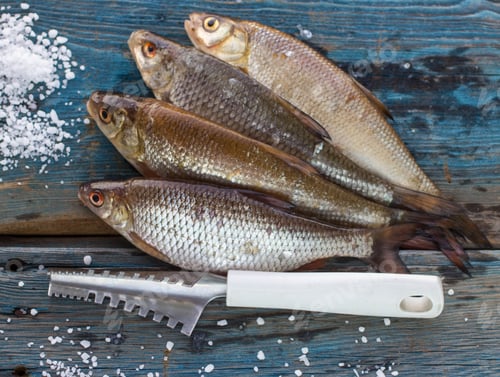Preview: Freshly Caught Fish On A Wooden Table And A Knife For Cleaning Of Scales