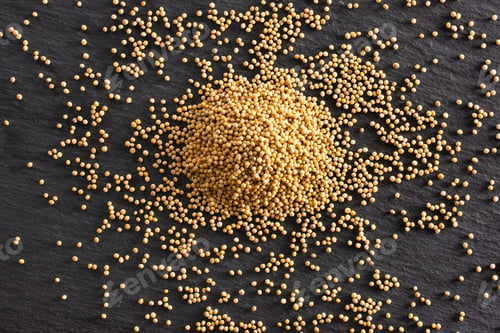 Preview: Lot Of Whole White Mustard Seeds Stack Flatlay On Grey Stone