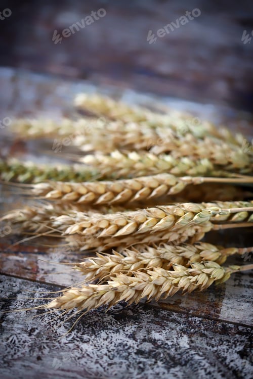 Preview: Selective Focus. Close-Up. Ears Of Wheat.
