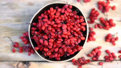 Preview: Selective Focus. Fresh Barberry In A Bowl. Red Berries Of Barberry.