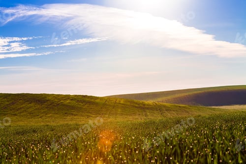 Preview: Green Field And Beautiful Sunset