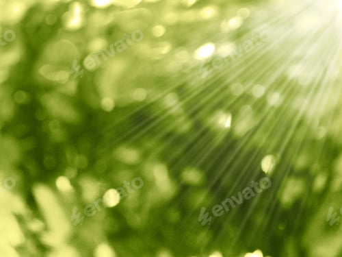 Preview: Abstract Nature Spring Background Blurred Green Yellow Leaves