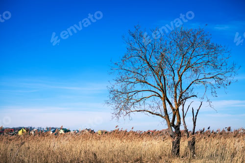 Preview: Beatiful Morning Green Field With Blue Heaven