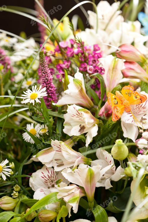 Preview: Bouquet Of Colorful Flowers