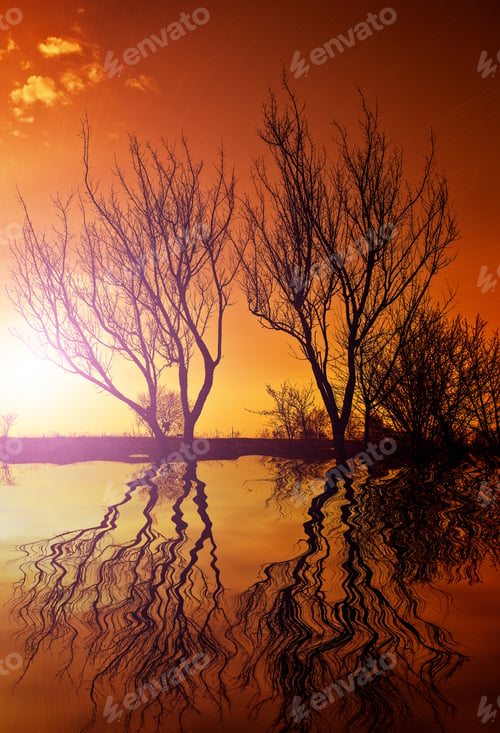 Preview: Water And Tree Sunset