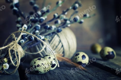 Preview: Egg Twig Willow Wood Background