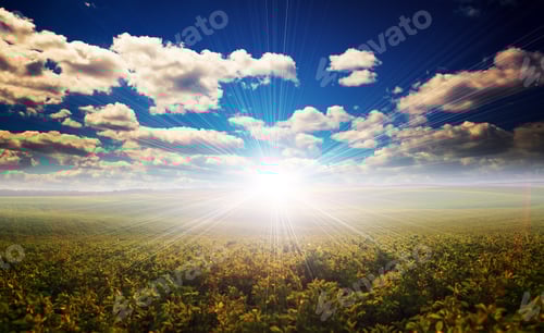 Preview: Green Field And Beautiful Sunset