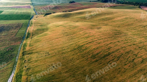Preview: The Green Field Is At Sunset Shot With The Drone
