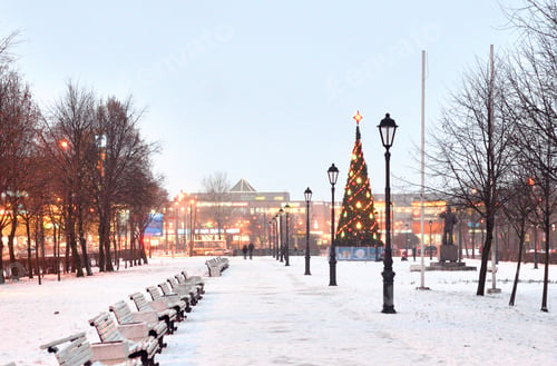 Preview: Alley At Winter Evening In Microdistrict Rybatskoe On The Outskirts Of St. Petersburg, Russia.