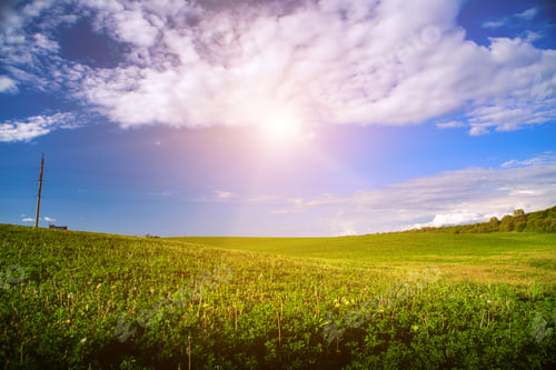 Preview: Green Field And Beautiful Sunset