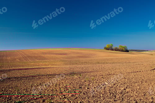 Preview: Green Field And Beautiful Sunset