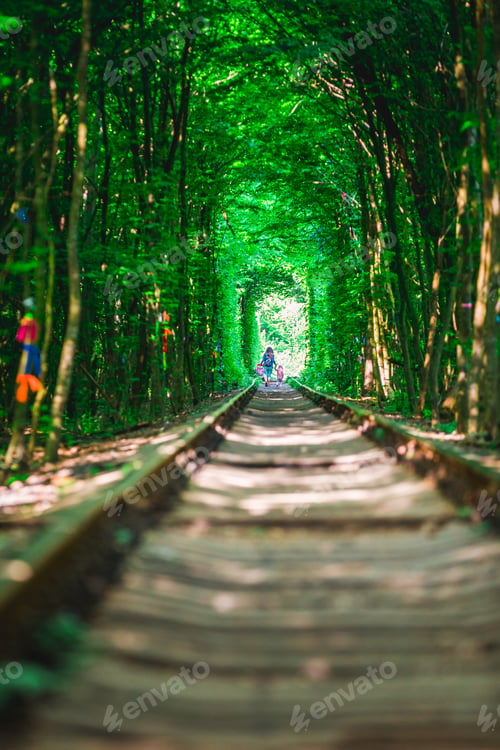 Preview: A Railway In The Spring Forest Tunnel Of Love