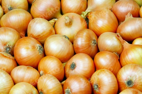 Preview: Background Of Golden Onion