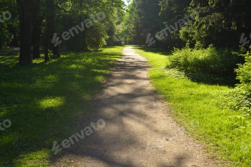 Preview: Alley In The Park At Summer, Russia.