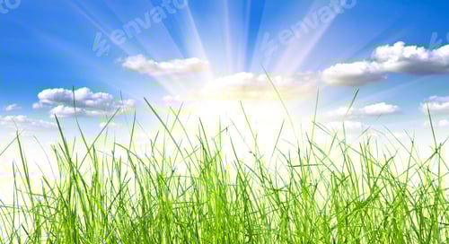 Preview: Green Grass Isolation On The White Backgrounds