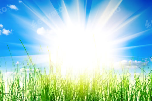 Preview: Green Grass Isolation On The White Backgrounds