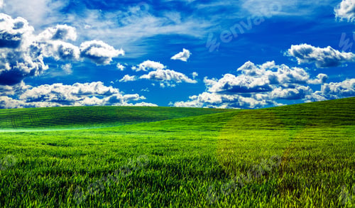 Preview: Green Field And Beautiful Sunset