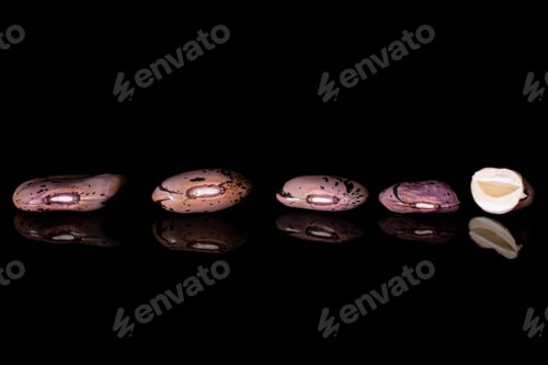 Preview: Group Of Four Whole One Half Of Fresh Speckled Bean Pinto Isolated On Black Glass