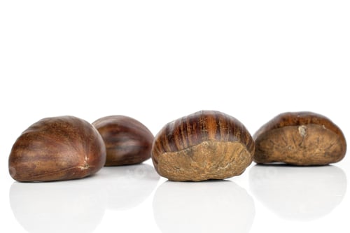 Preview: Group Of Four Whole Edible Brown Chestnut Isolated On White Background