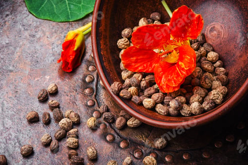 Preview: Seeds, Leaves And Flowers Of Nasturtium.Spice.Herbal Medicine