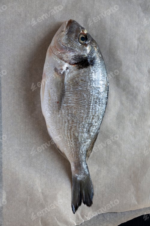 Preview: Fresh Dorado Fish On Baking Paper, Overhead View. Flat Lay, From Above, Top View.